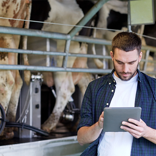 UNA COMUNIDAD ONLINE EN EL SECTOR LECHERO