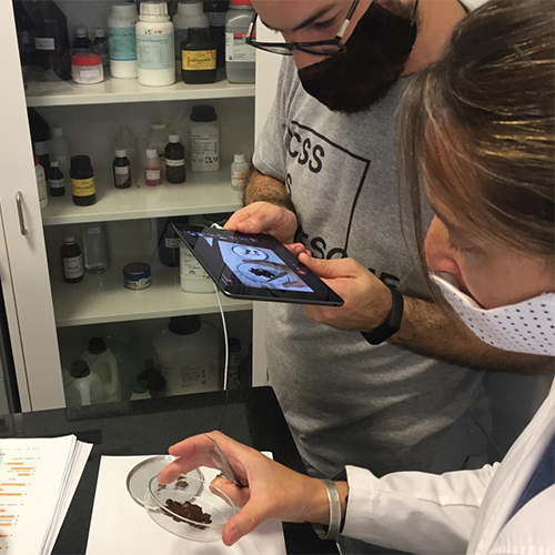 PRÁCTICAS DE LABORATORIO EN VIVO DESDE PAYSANDÚ